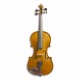 Photo of violin Stentor Student I 1/16 
