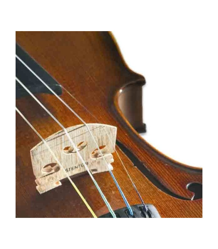 Bridge of violin Stentor Student II 3/4 SH