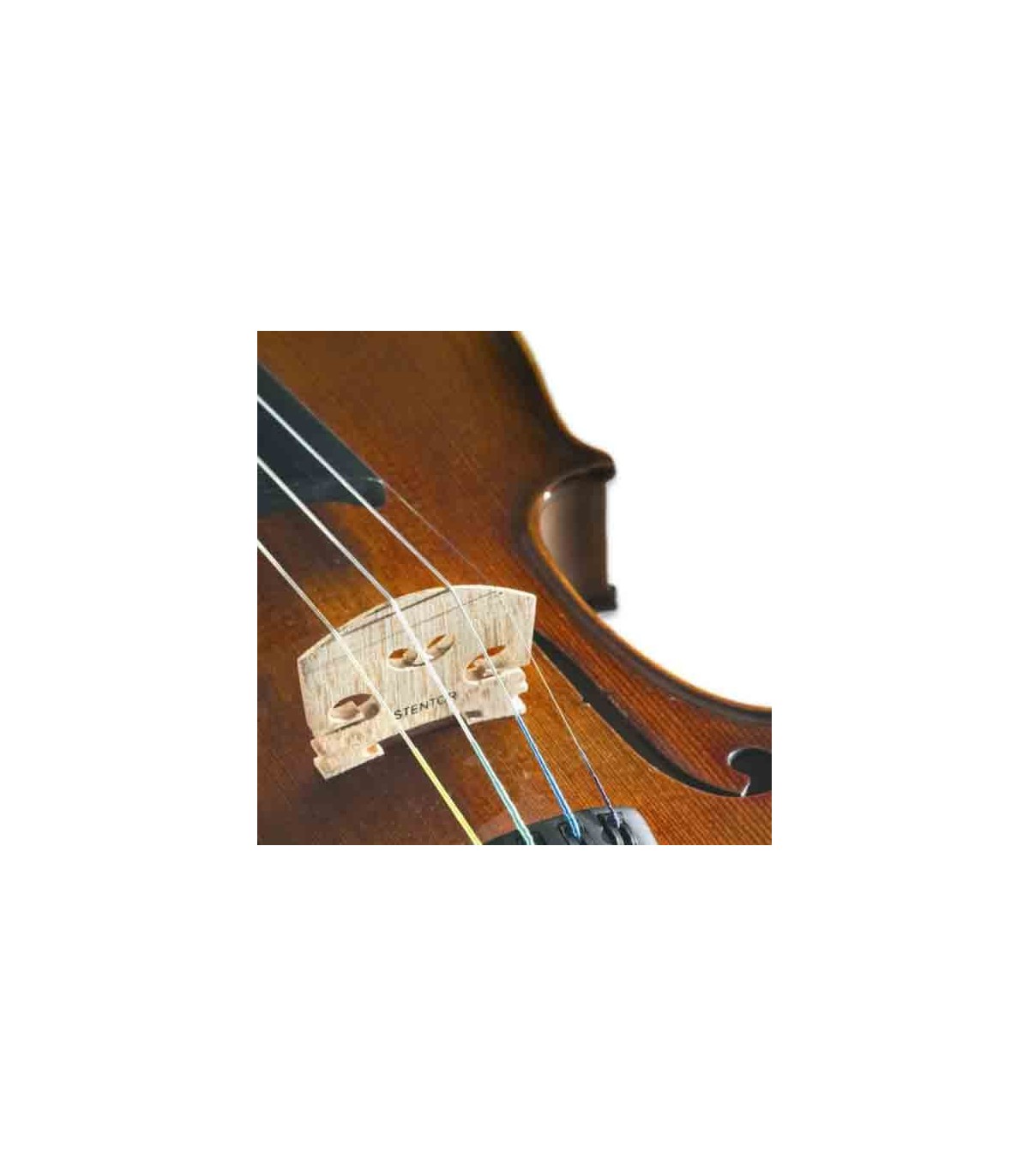 Stentor Student II 3/4 SH | Violin | Salão Musical - Musical Hall