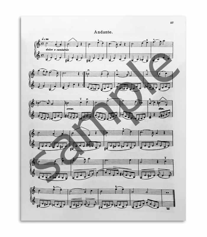 Book Mathieu Crickboom The Violin Theory and Practice Vol 2 SF6560