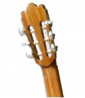 Photo 3/4 of classical guitar Alhambra 3C E1