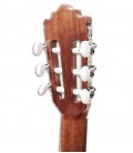 Tuning machines of classical guitar Paco Castillo 201