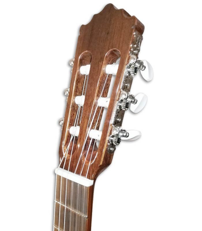 Head of classical guitar Paco Castillo 201 3/4 