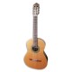 Photo of classical guitar Paco Castillo 201 