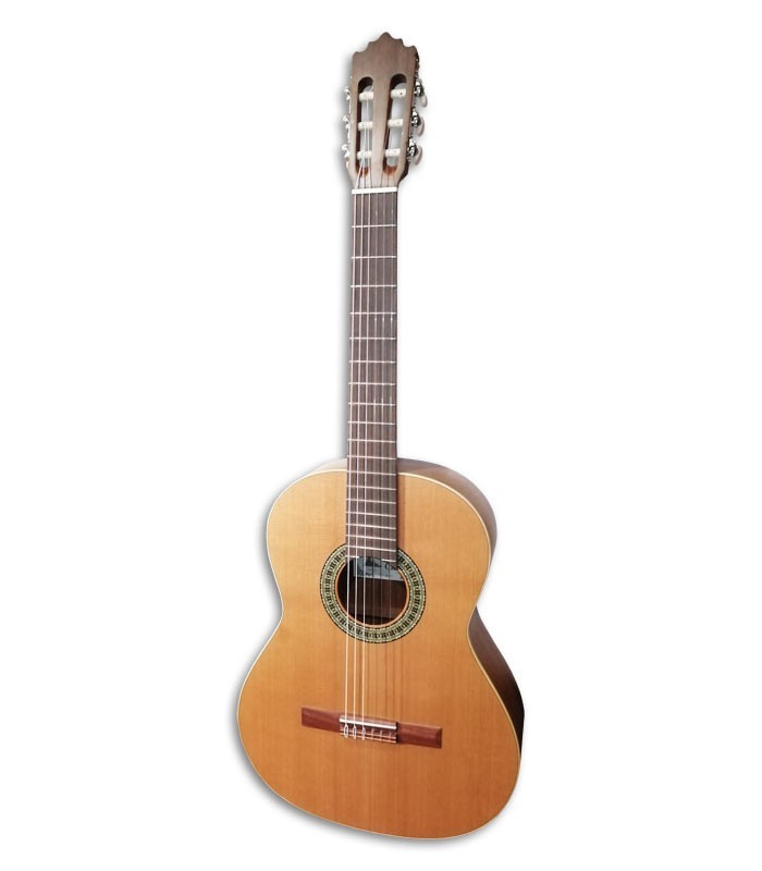Photo of classical guitar Paco Castillo 201 