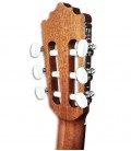 Tuning machines of classical guitar Paco Castillo 201 