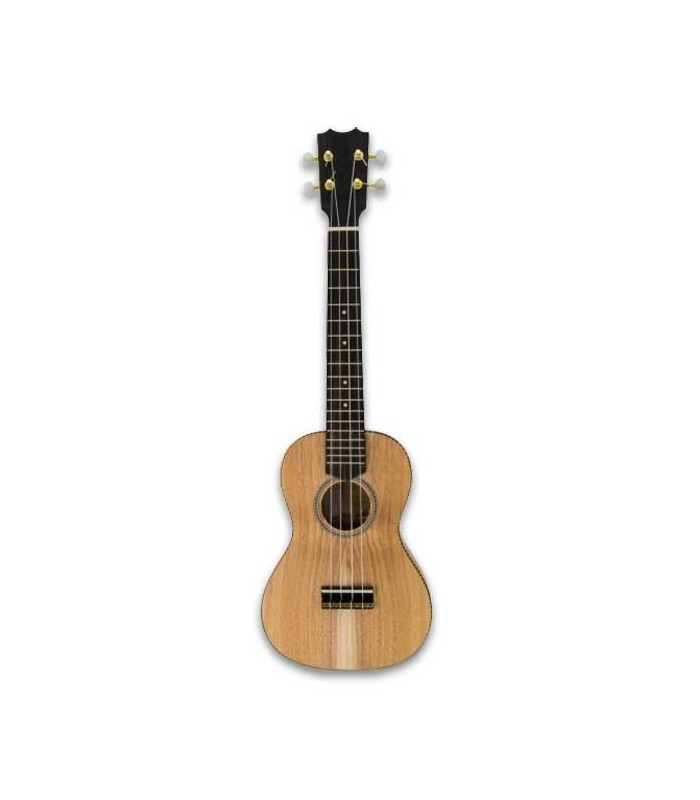 Frontal photo of ukulele APC Concerto Tradicional
