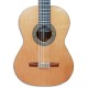 Photo of the Paco Castillo classical guitar 204 top and rosette