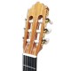 Photo of the Paco Castillo classical guitar 204 machine heads
