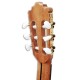 Photo of the Paco Castillo classical guitar 204 machine heads