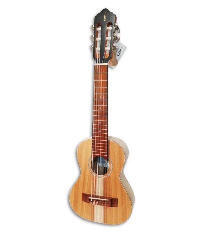Photo of the APC Guitalele GT Traditional front and three quarters