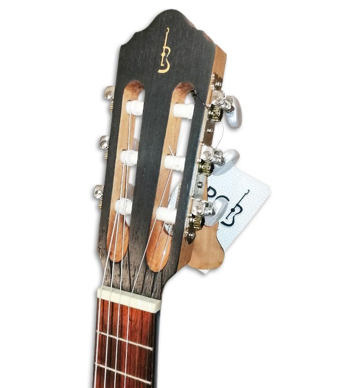 Photo of the APC Guitalele GT Traditional head