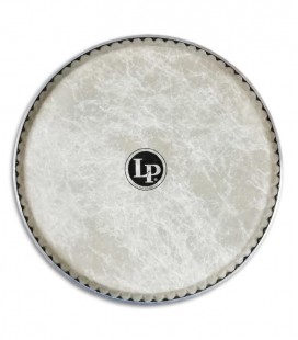 LP Quinto Head LP265AP 11 Synthetic