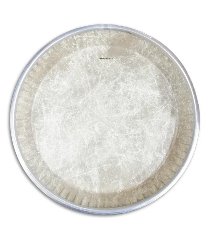 Photo of LP quinto head skin 11 inches model LP265AP back