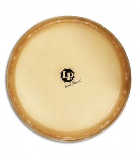 Photo of the LP quinto galaxy head skin LP274A model 11 inches front