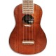 Photo of the Fender Soprano Ukulele model Seaside top and bridge