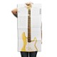 Photo of the poster included in the book bass guitar scale manual