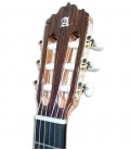 Frontal photo of Alhambra Classical Guitar 5P 