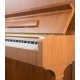 Photo detail of the body of the Upright Piano Petrof P125 F1