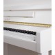 Photo detail of the keyboard and logo of the Upright Piano Petrof P125 M1