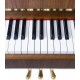 Photo detail of the keyboard and logo of the Upright Piano Petrof P118 P1
