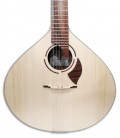  Photo of the top and rosette of the portuguese guitar APC 308LS