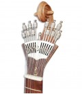  Photo of the fan machine head of the portuguese guitar APC 308LS