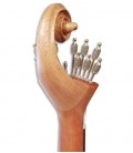  Photo of the head of the portuguese guitar APC 308LS