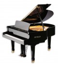Grand Piano Petrof P159 Bora Standard Series