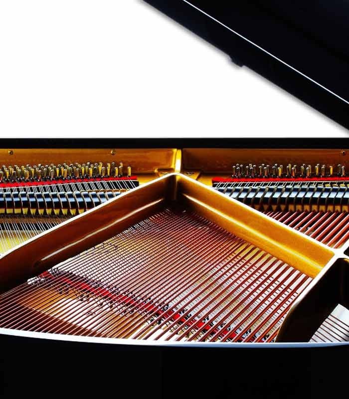 Photo detail of the interior of the Grand Piano Petrof P159 Bora