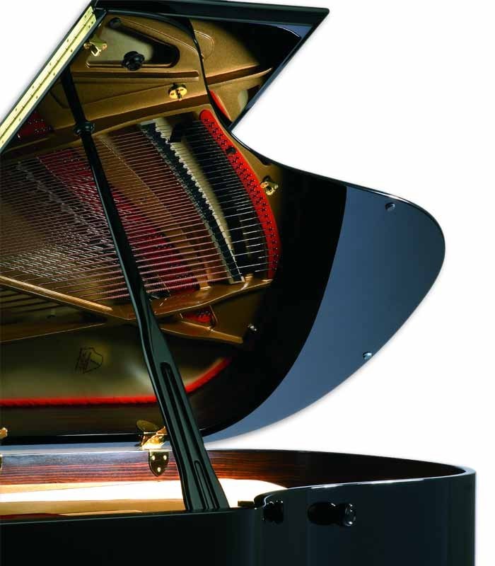 Photo detail of the body of the Grand Piano Petrof P194 Storm