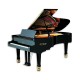 Photo of the Grand Piano Petrof model P237 Moonsoon from the Master Series front and in three quarters
