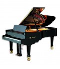 Grand Piano Petrof P237 Moonsoon Master Series