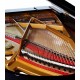 Photo of the interior of the Grand Piano Petrof P237 Moonsoon