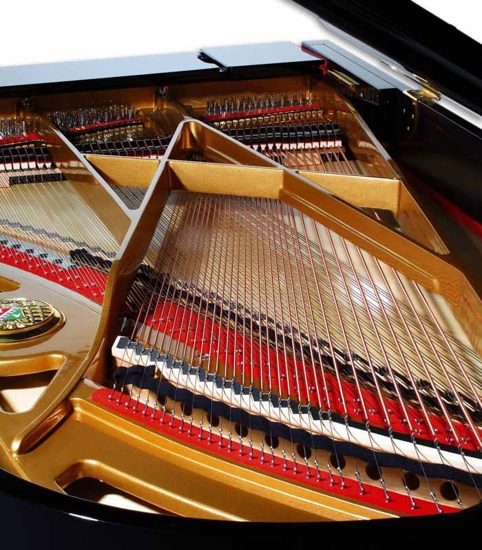 Photo of the interior of the Grand Piano Petrof P237 Moonsoon