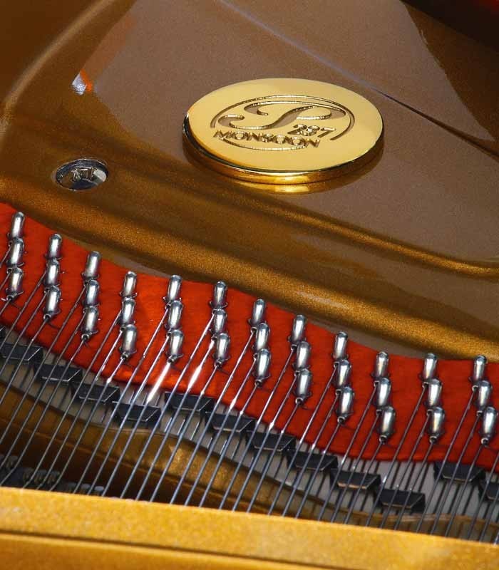Photo detail of the interior and pins of the Grand Piano Petrof P237 Moonsoon