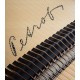 Photo detail of the soundboard with the brand name of the Grand Piano Petrof P173 Breeze Demichipendale