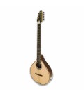 APC Irish Bouzouki IRB305