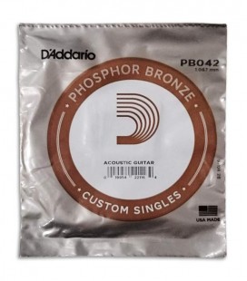 String DAddario PB042W Acoustic Guitar