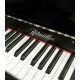 Ritmuller Upright Piano AEU118S PE Silent Classic 118cm Black Polish 3 Pedals