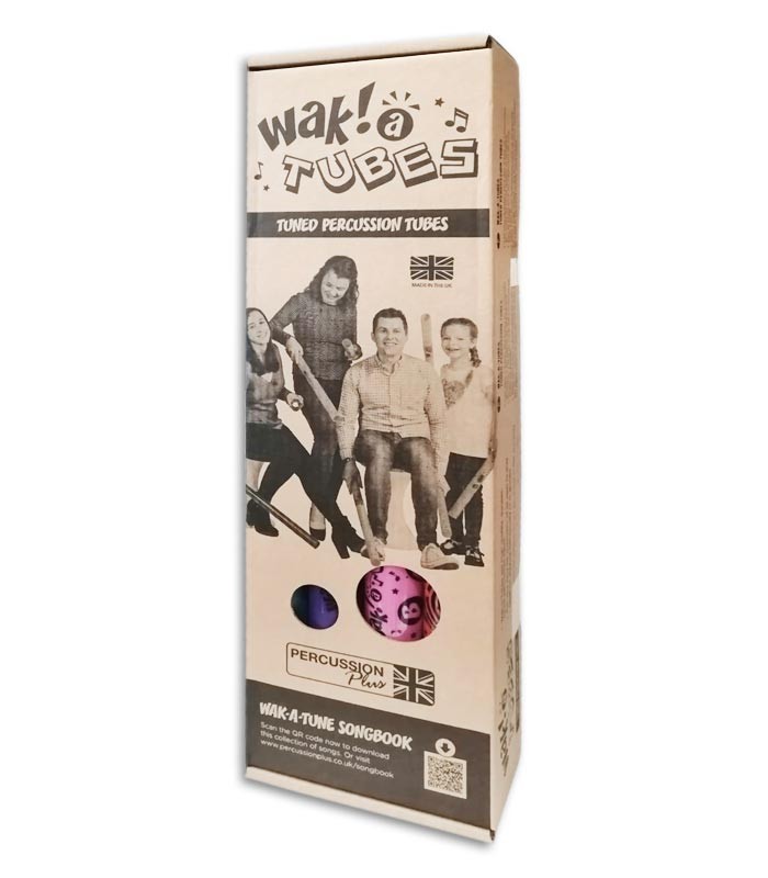 Photo of the box of the Wakatubes Artcarmo Diatonic PP790