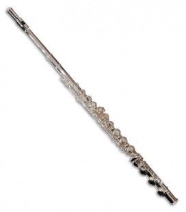 General photo of the Flute Taylor Collins model FL 1 Standard Open Plates 