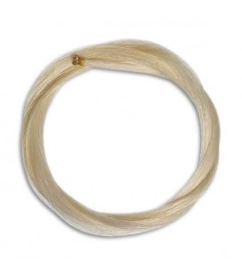 Photo of the Bristles Artcarmo for Cello