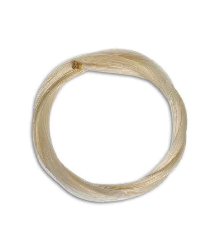 Photo of the Bristles Artcarmo for Cello