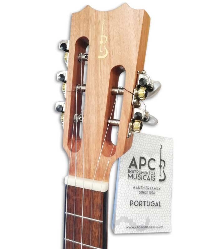 Photo of the head of the APC Cavaquinho Rajão Madeirense 550