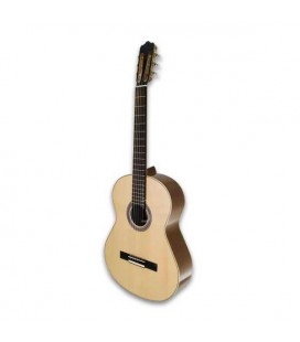 APC CGS307 Viola de Fado side photo