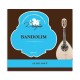 Photo of the package cover of the Dragão Mandolin String 801 2nd A