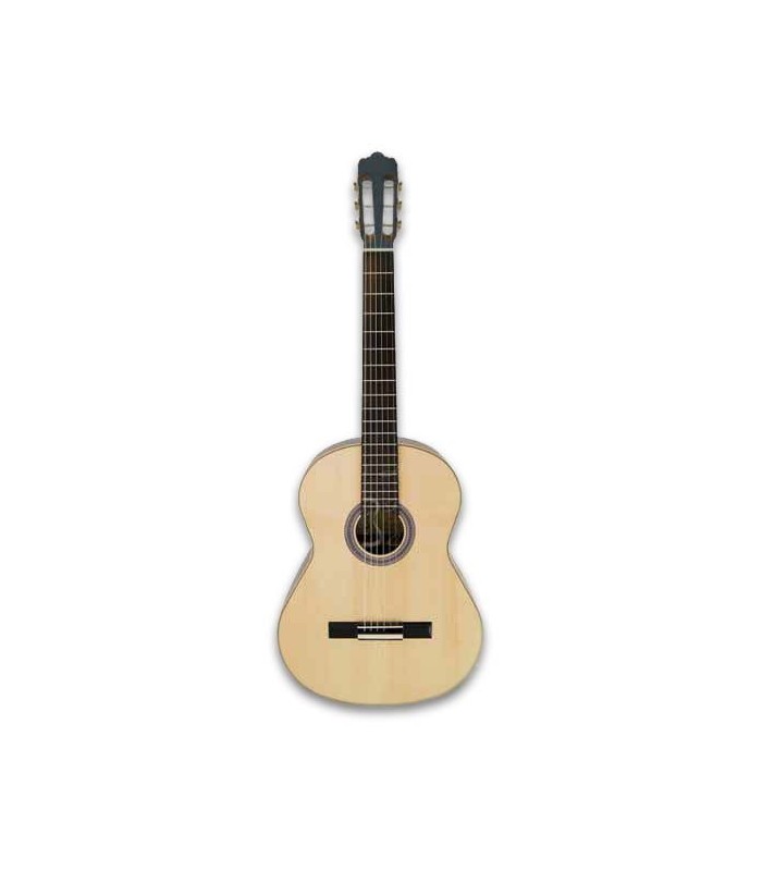 APC CGS307 Viola de Fado front photo