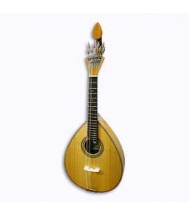 Mandolin Artimúsica BD40TL Spruce Top Fan