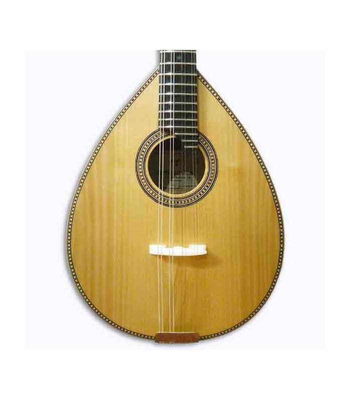 Body of mandolin Artimúsica BD40TL